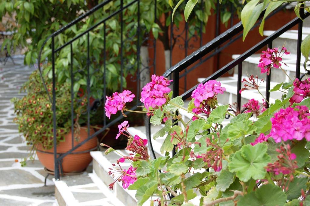 Hotel Villa Marie Sívota Extérieur photo